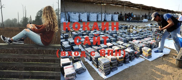 индика Балахна