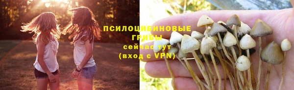 a pvp Арсеньев