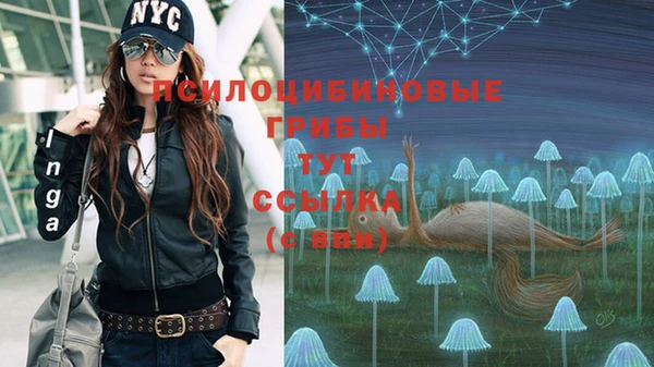 MESCALINE Баксан