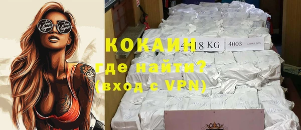 индика Балахна